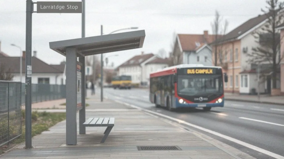 Busy do Dziwnowa – rozkłady jazdy i połączenia autobusowe