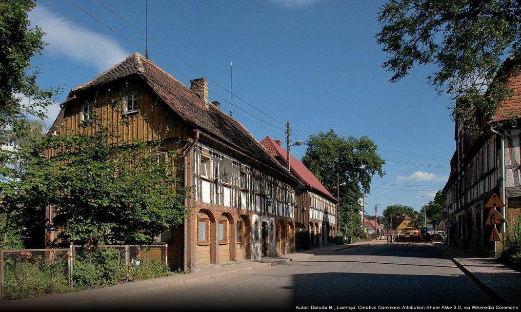 Postępy w projekcie zagrody dla niedźwiedzi w Bogatyni